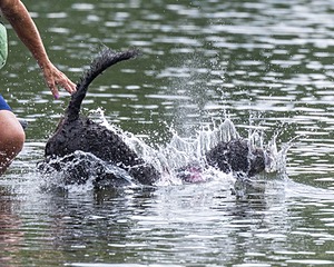 Tango Abbruzzese