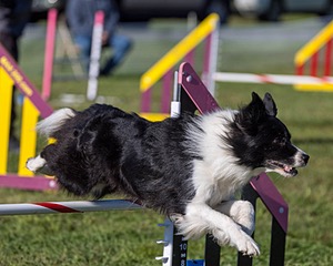 20230917-PVKC-2039.jpg