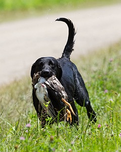 20130714-MHB2-0120.jpg