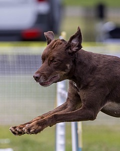 20230916-PVKC-2075.jpg