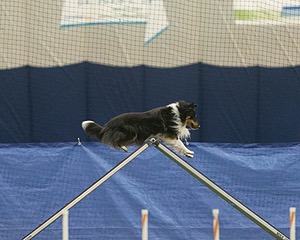 20150321-LEAP-1291.jpg
