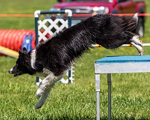 20170520-NEAT-1149.jpg