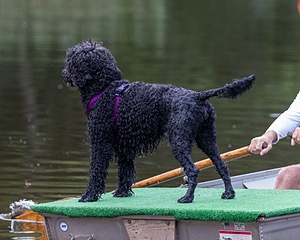 20210912-MWD-0025.jpg