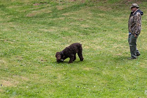 20190512-BD-0137.jpg