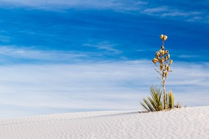 White Sands National Monument, New Mexico