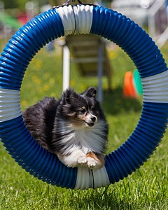 20170520-NEAT-1529.jpg