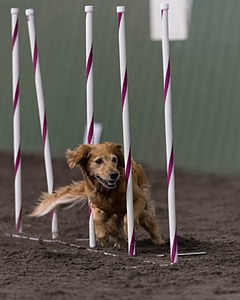 20250614-CCM-1470.jpg
