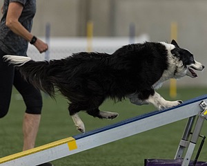 Zoe Sarnik