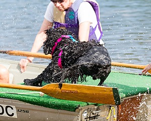 Mistral