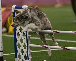 20150321-LEAP-0317.jpg