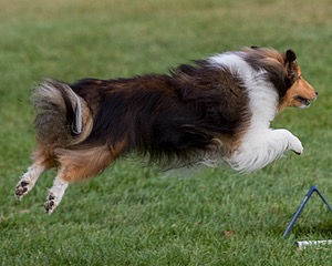 20200819-0129.jpg