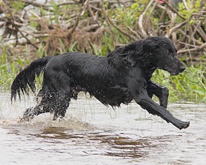 Almosteden Cinderslide Rule
