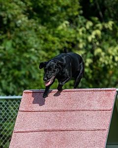 20200819-0756.jpg