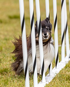 Daisy Witting