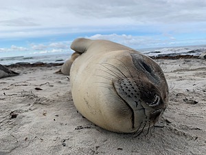 20191217-0651.jpg
