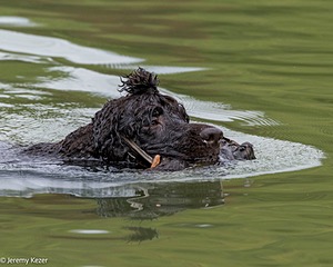 20260516-WCW-0031.jpg