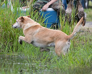 20130713-MHB2-0015.jpg