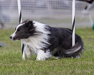20230917-PVKC-2767.jpg