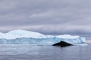 20260320-0100.jpg