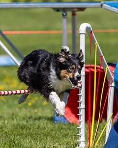 20170520-NEAT-1131.jpg