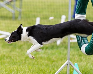 20160515-NEAT-0686.jpg