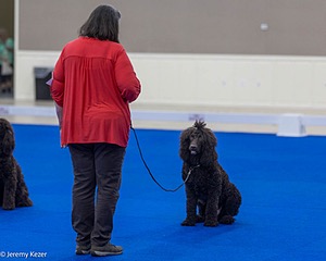 20240521-OB-0201.jpg