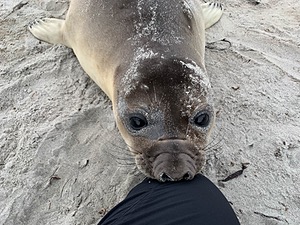 20191217-0642.jpg