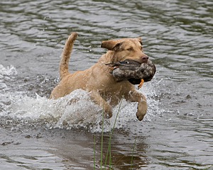 20080531-HRW-0038.jpg
