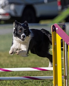 20230917-PVKC-2055.jpg