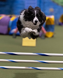 20260221-0646.jpg