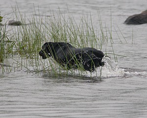 20080531-HRW-1146.jpg