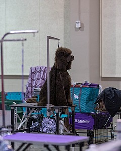 20190111-ASC-0008.jpg
