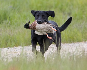 20080531-HRL-0205.jpg