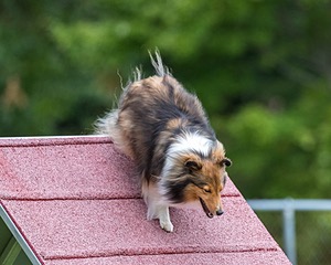20200819-1830.jpg