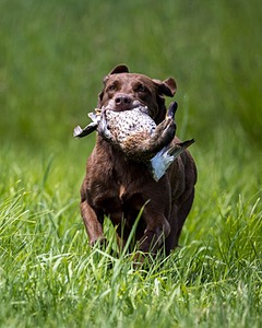 20240720-MH1-0619.jpg