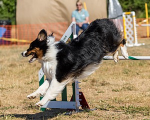 20160619-CCKC-0231.jpg