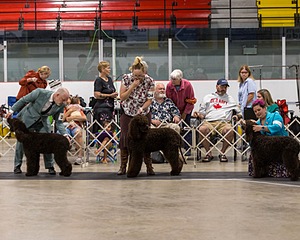 20250802-0244.jpg