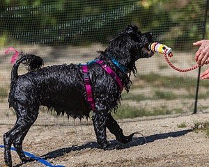 Penny Toby-Ann