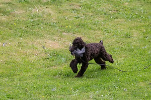 20190512-BD-0052.jpg