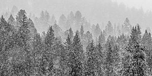 Yellowstone National Park, Montana
