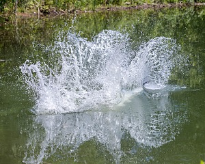 Crash Hartigan