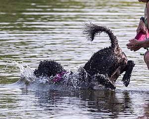 Tango Abbruzzese
