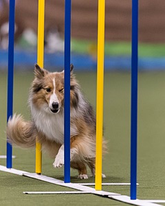 20260222-1189.jpg