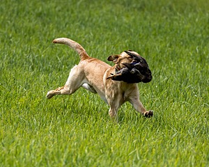 20220604-SHL-1169.jpg