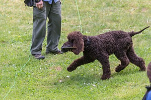 20190512-BD-0133.jpg