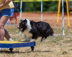 20160619-CCKC-1151.jpg