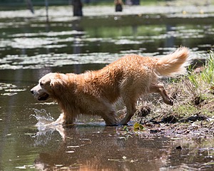 20130602-SEAW-0480.jpg