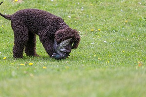 20190512-BD-0100.jpg