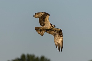 20240621-5156.jpg