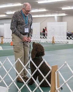 20190514-RA-0276.jpg